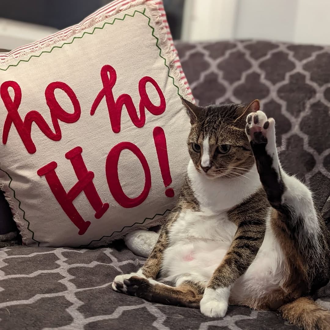 Post 10 by William Hutt on Instagram (image)
