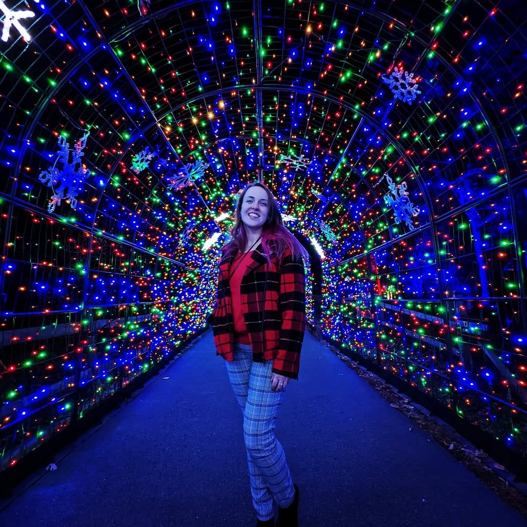 Post 6 by William Hutt on Instagram (image)