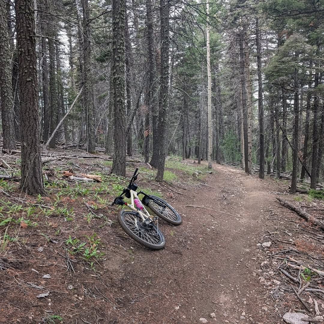 Post 3 by William Hutt on Instagram (image)