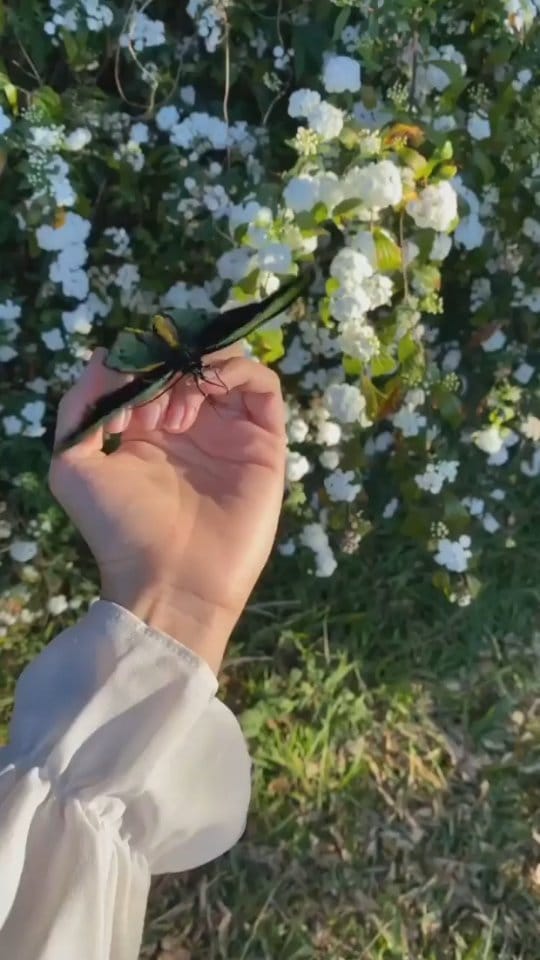 Post 10 by World Explorer | Traveller | on Instagram (video)