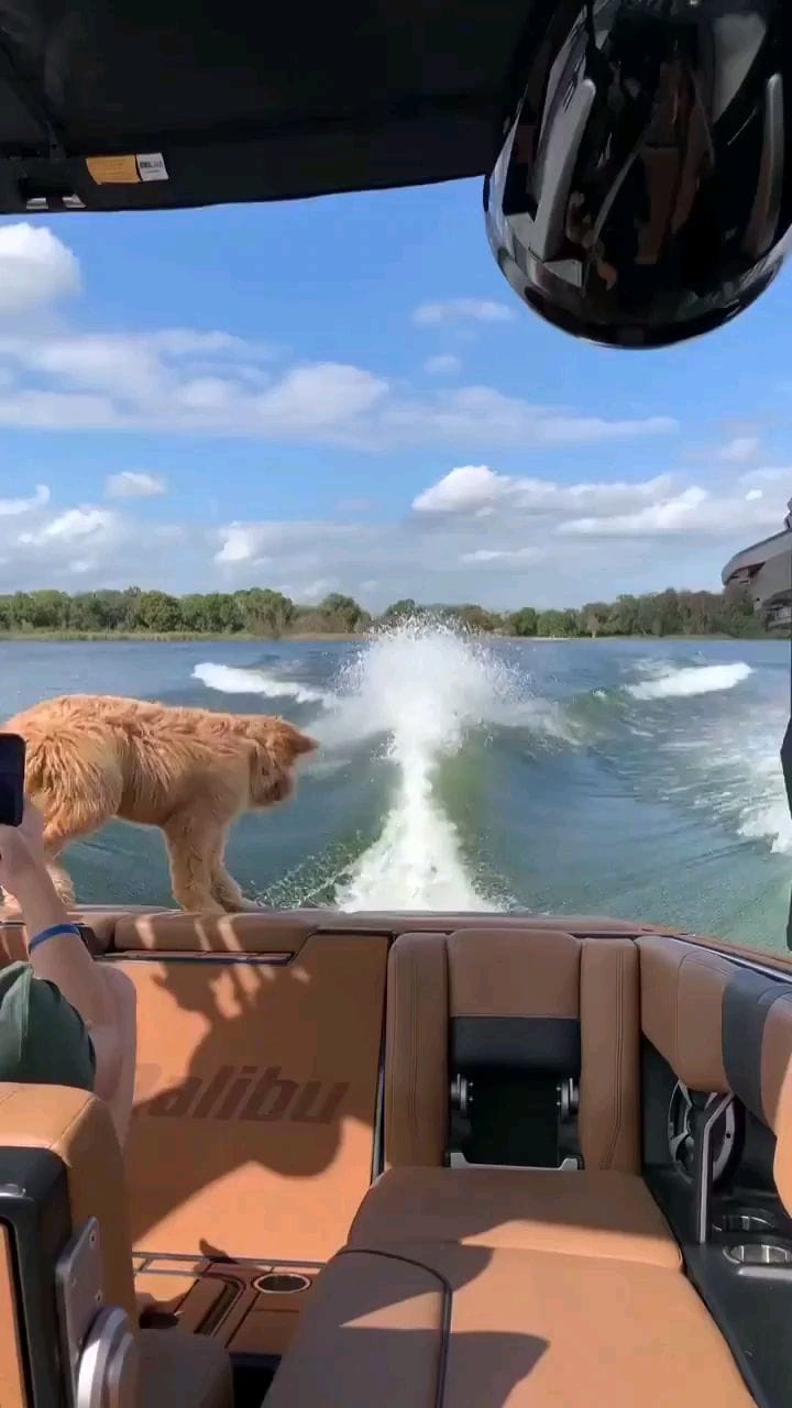 Post 9 by World Explorer | Traveller | on Instagram (video)