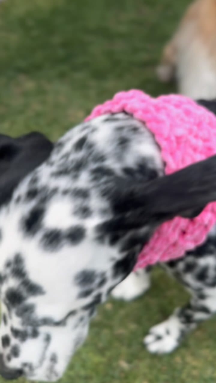 Post 4 by V E L A H I N O on Instagram (video)