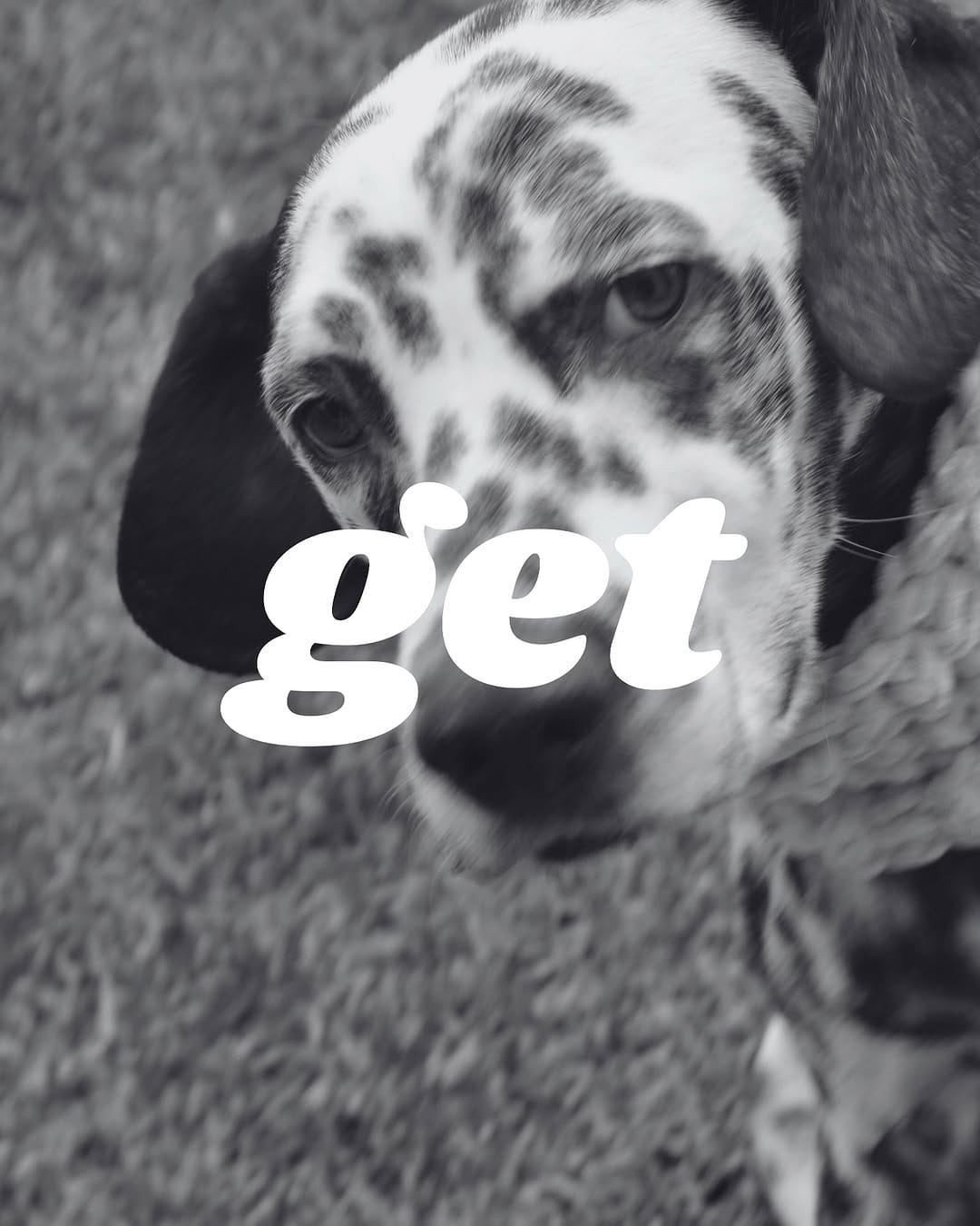 Post 2 by V E L A H I N O on Instagram (image)