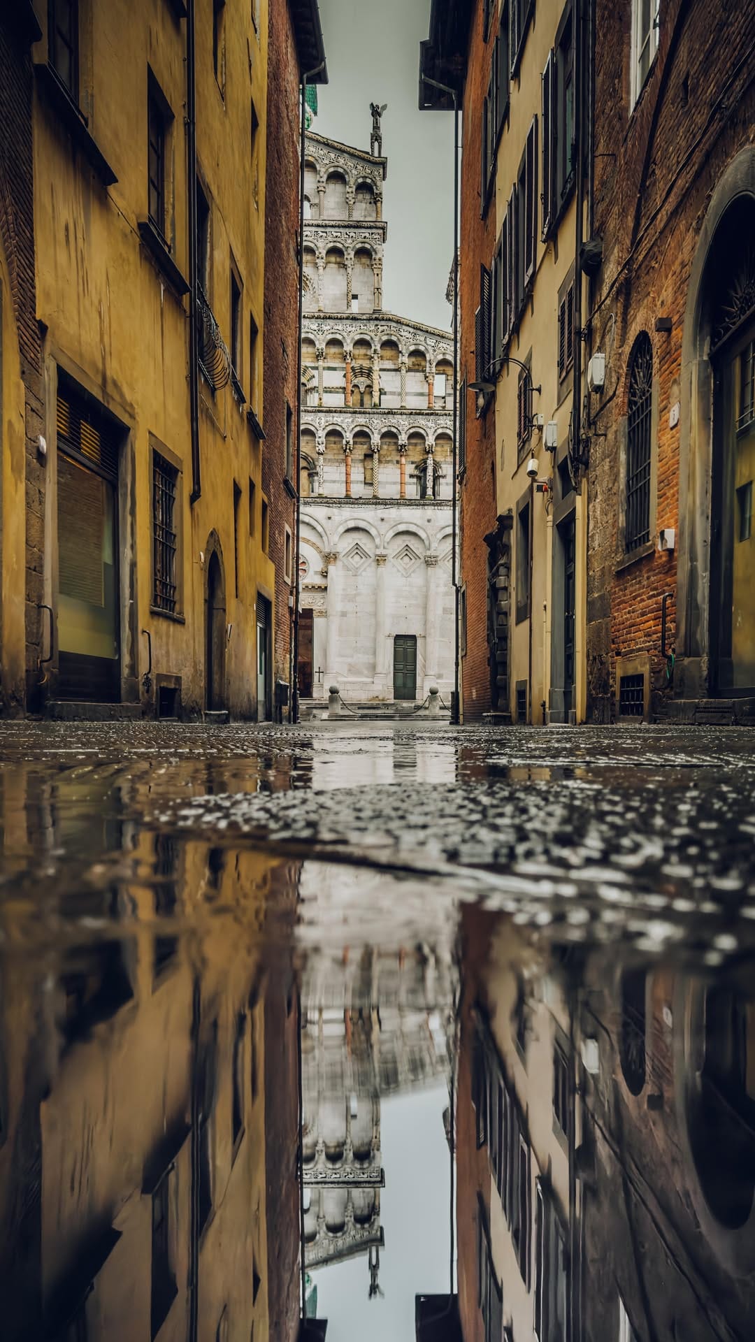 Post 9 by Massimiliano Lazzi on Instagram (video)