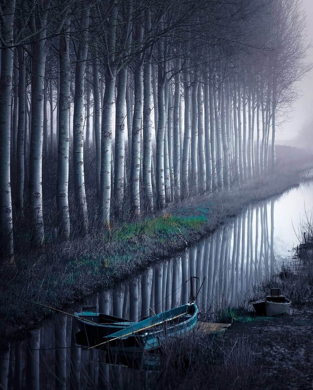 Post 5 by Massimiliano Lazzi on Instagram (image)