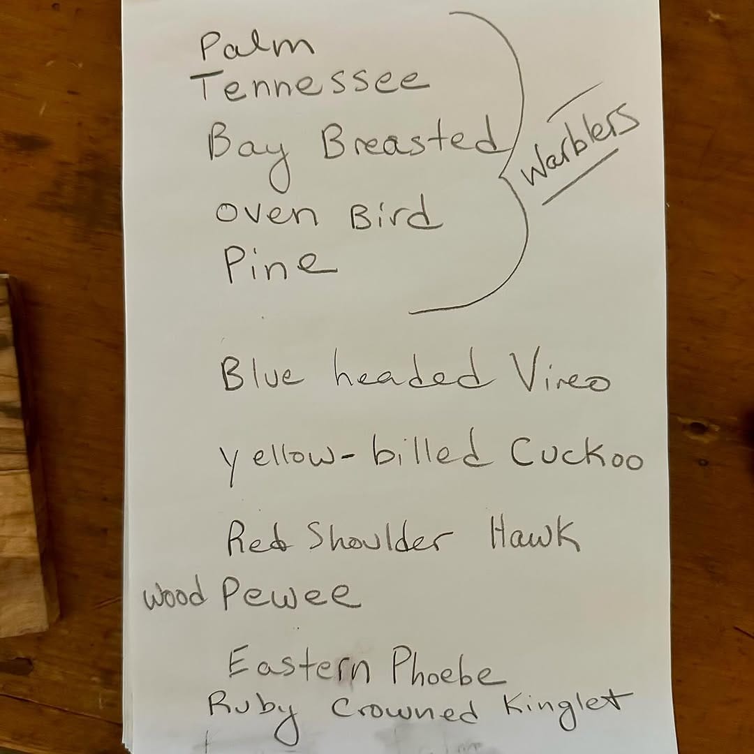Post 5 by Catherine Wolf Sweeney on Instagram (image)