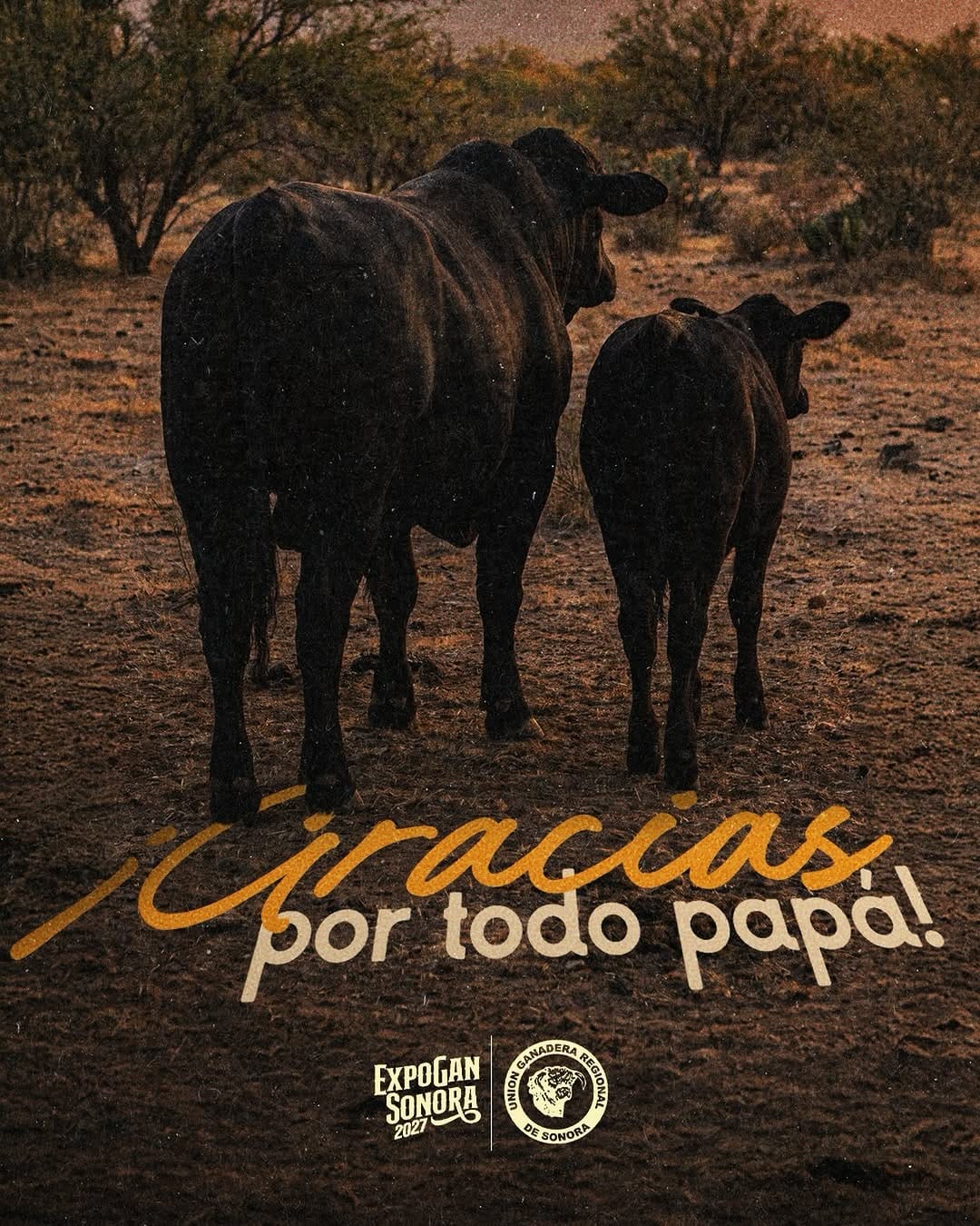 Post 1 by EXPOGAN SONORA 2026 🐮🐴🤠🐂🎤🎺 on Instagram (image)