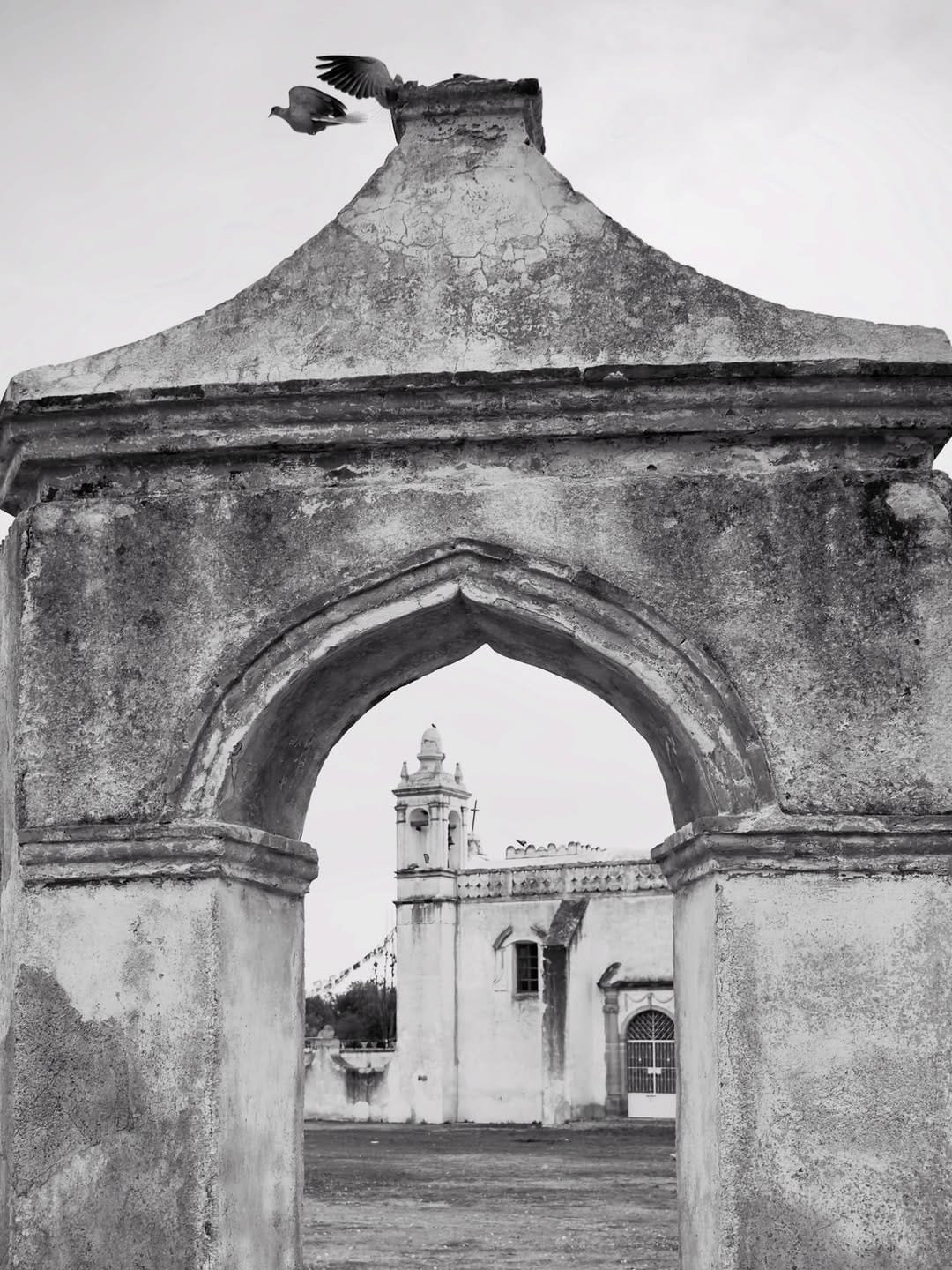 Post 1 by Hacienda Santa Ana y Lobos on Instagram (image)