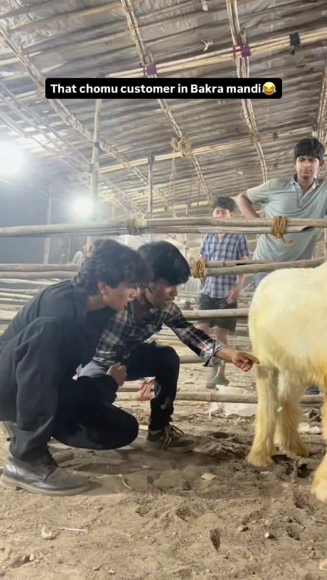Post 5 by Owais Shaikh on Instagram (video)