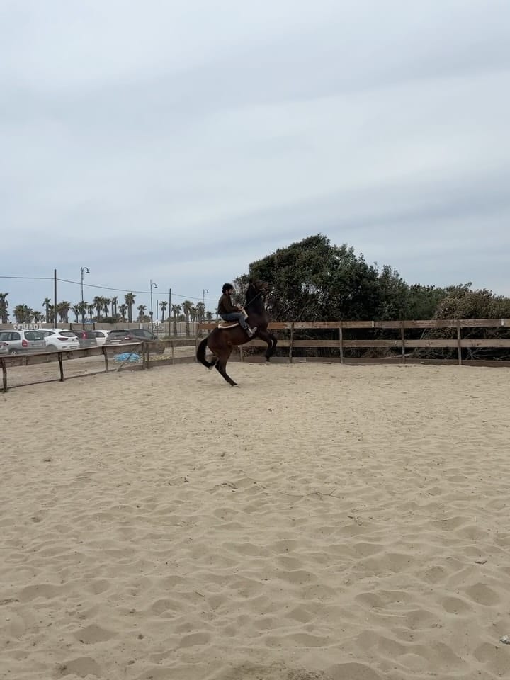 Post 6 by Roberto Oliveri on Instagram (carousel)