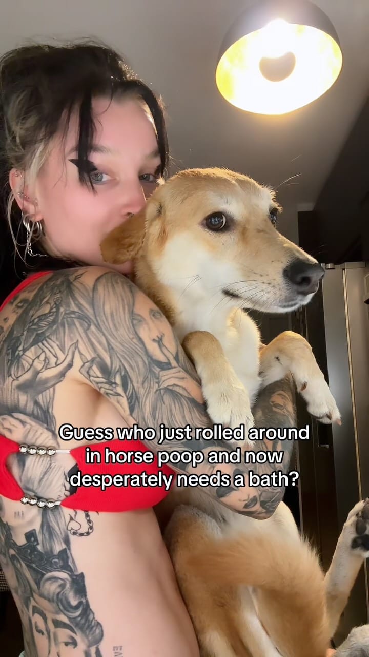 Post 7 by Pandora Nox on Instagram (video)