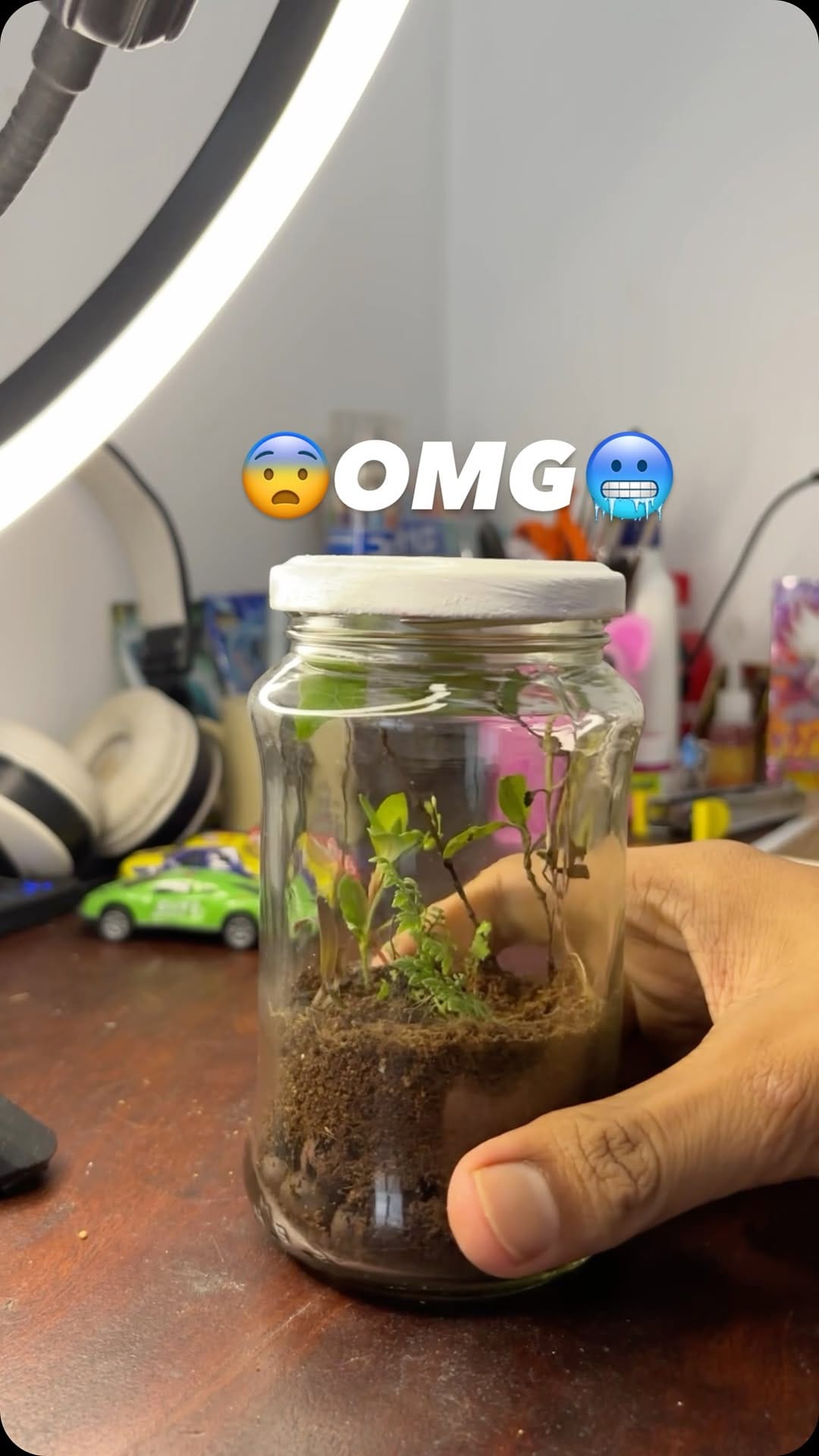 Post 7 by Green Toons on Instagram (video)