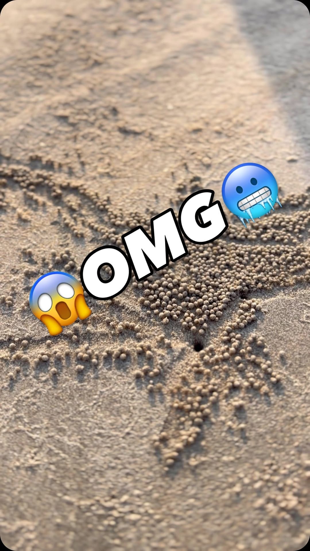 Post 5 by Green Toons on Instagram (video)