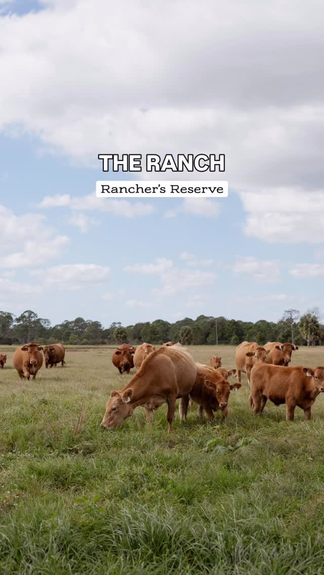 Post 9 by Steak Shop by Rancher’s Reserve on Instagram (video)