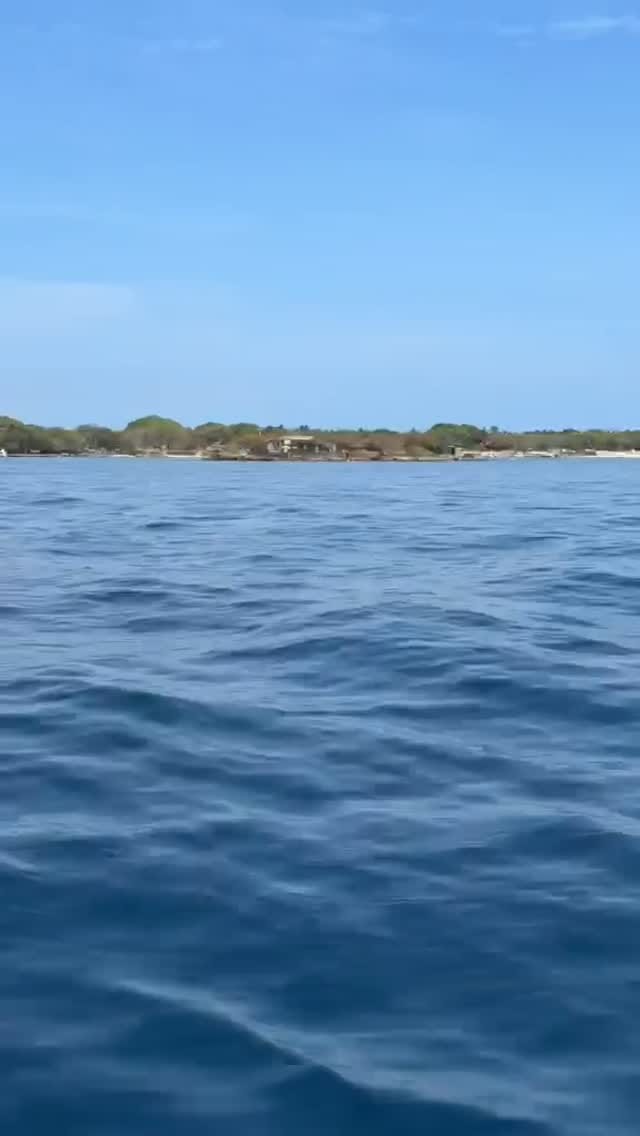 Post 2 by Dr. Arturo Arbelaez on Instagram (video)