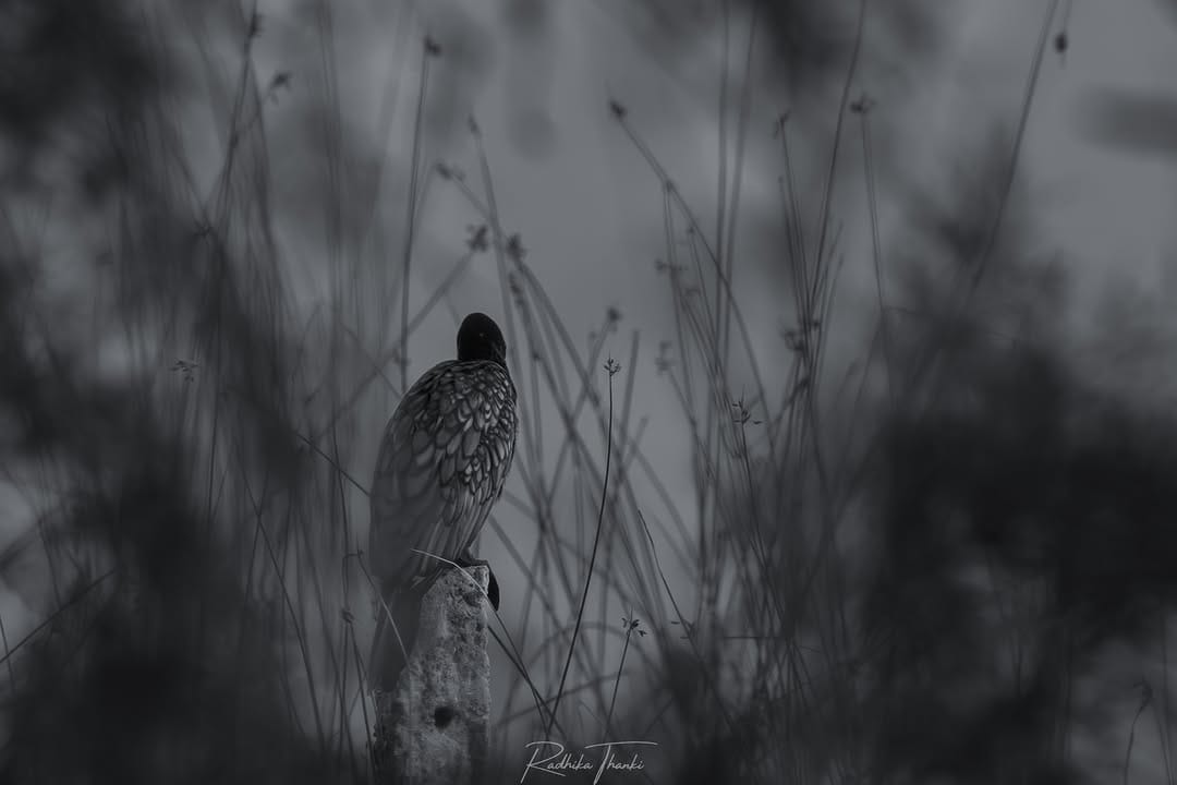 Post 2 by Infinite impressions on Instagram (image)