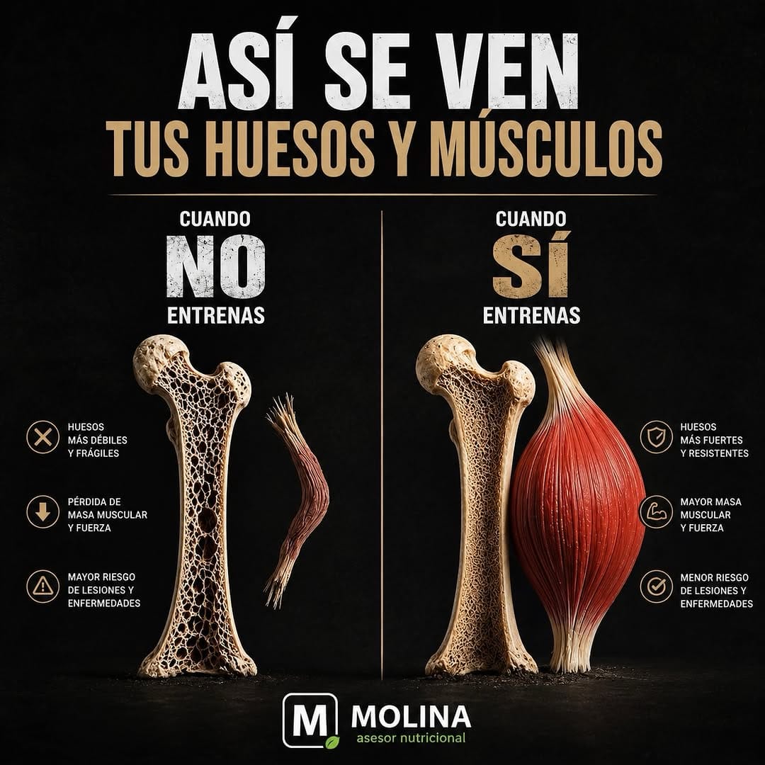 Post 10 by Molina Nutrición on Instagram (carousel)
