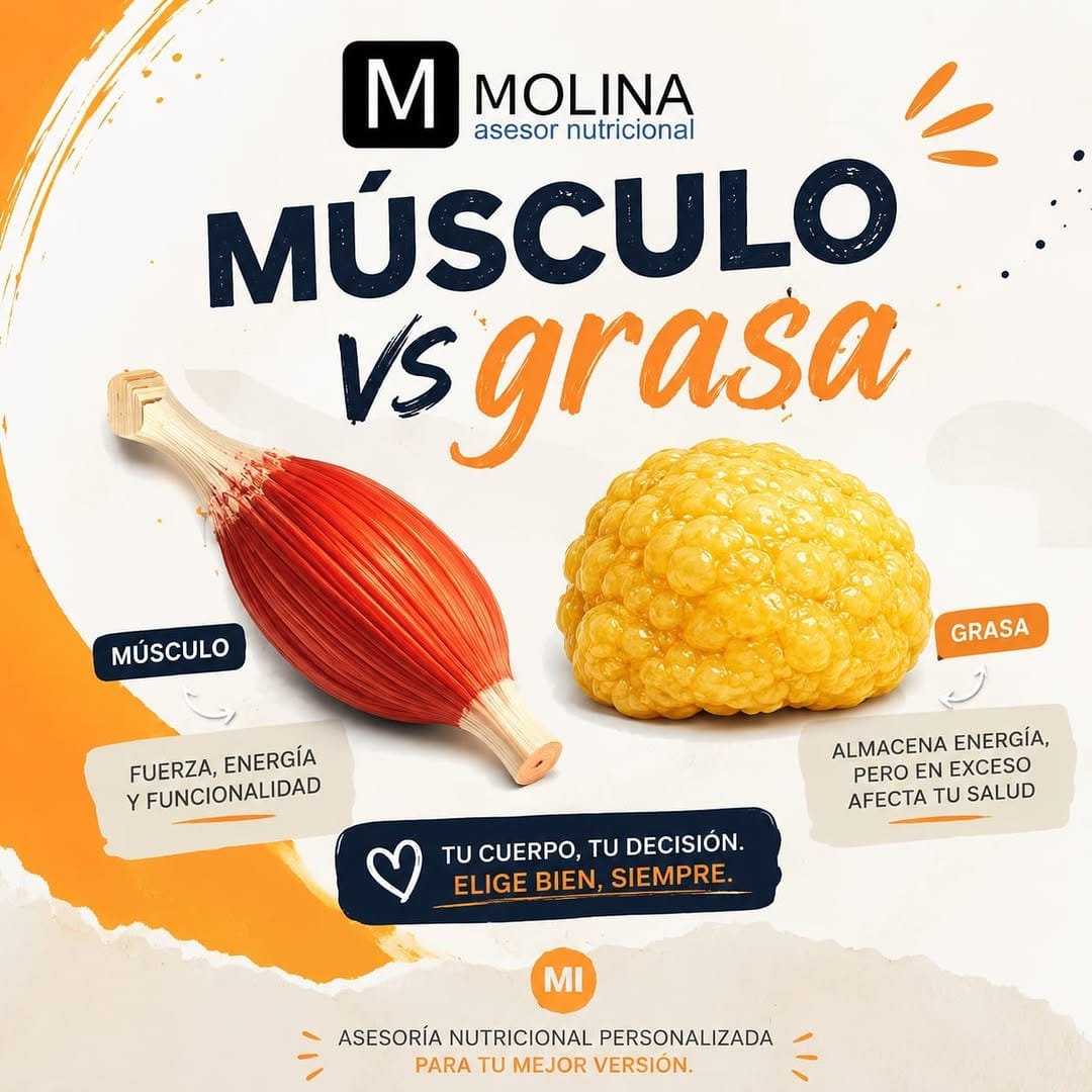 Post 2 by Molina Nutrición on Instagram (carousel)