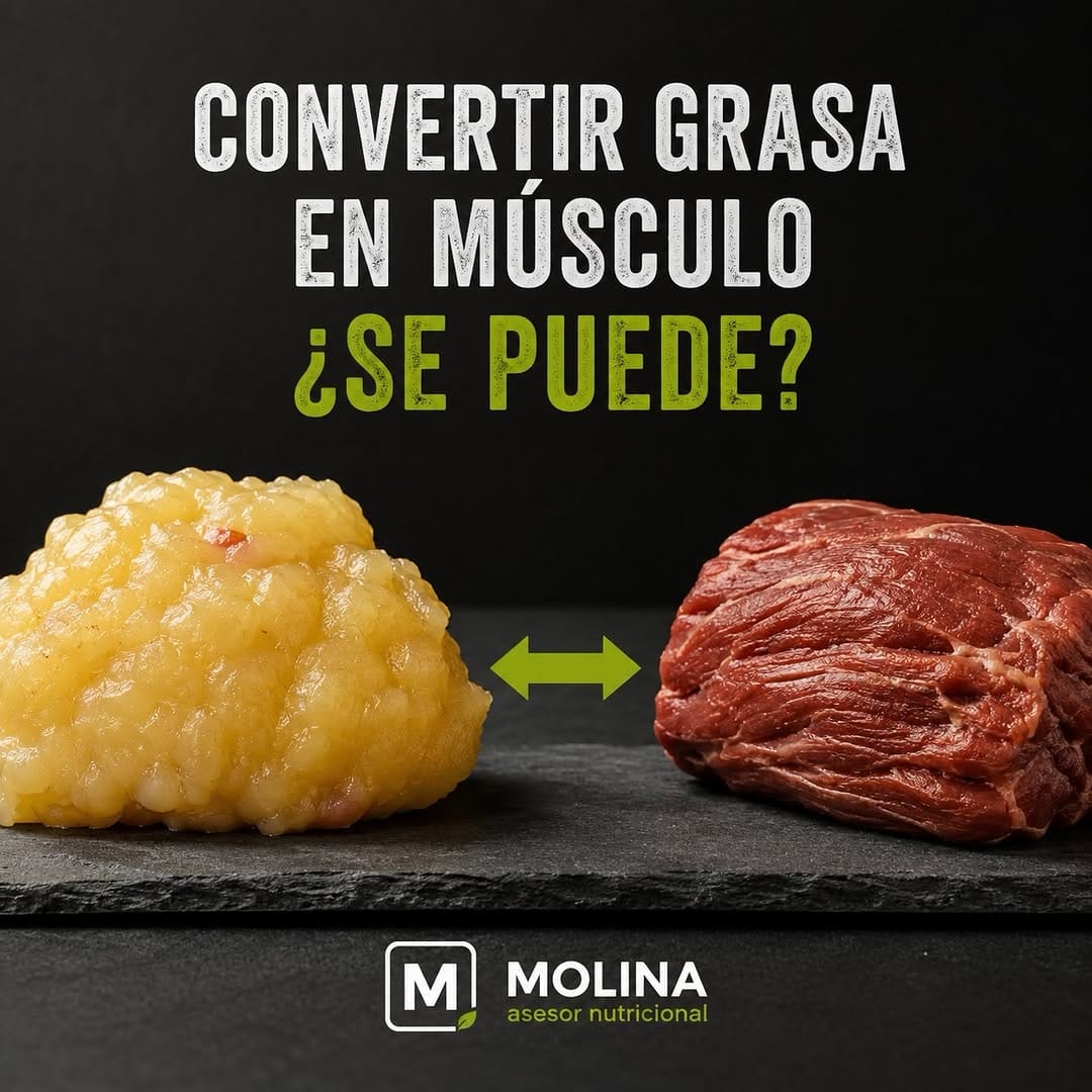 Post 9 by Molina Nutrición on Instagram (carousel)