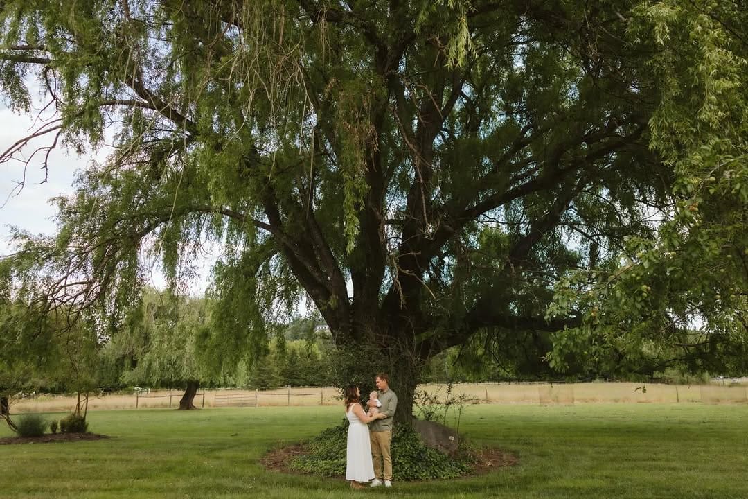 Post 3 by Danielle Navratil Photography on Instagram (image)