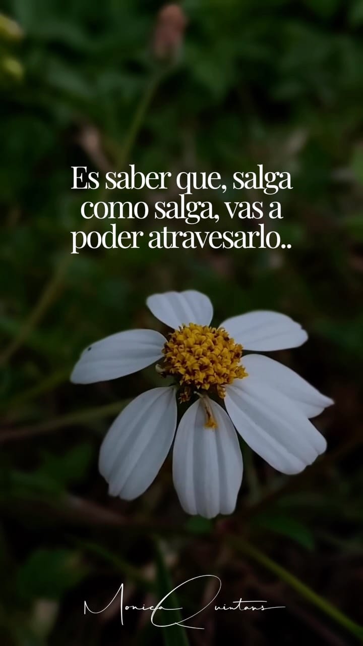 Post 3 by Mónica Quintáns Psicoterapia on Instagram (video)