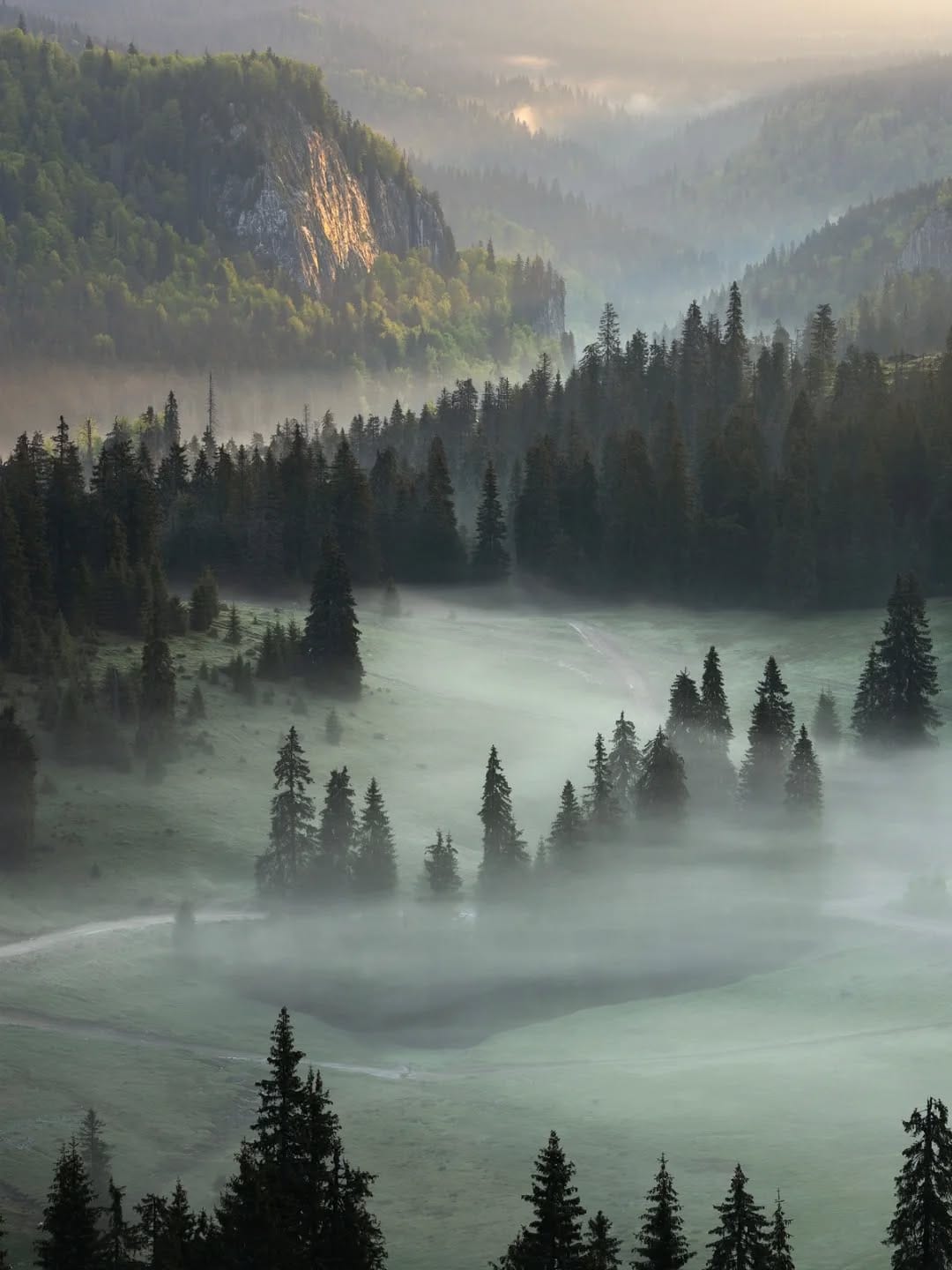 Post 9 by Toma Bonciu on Instagram (image)