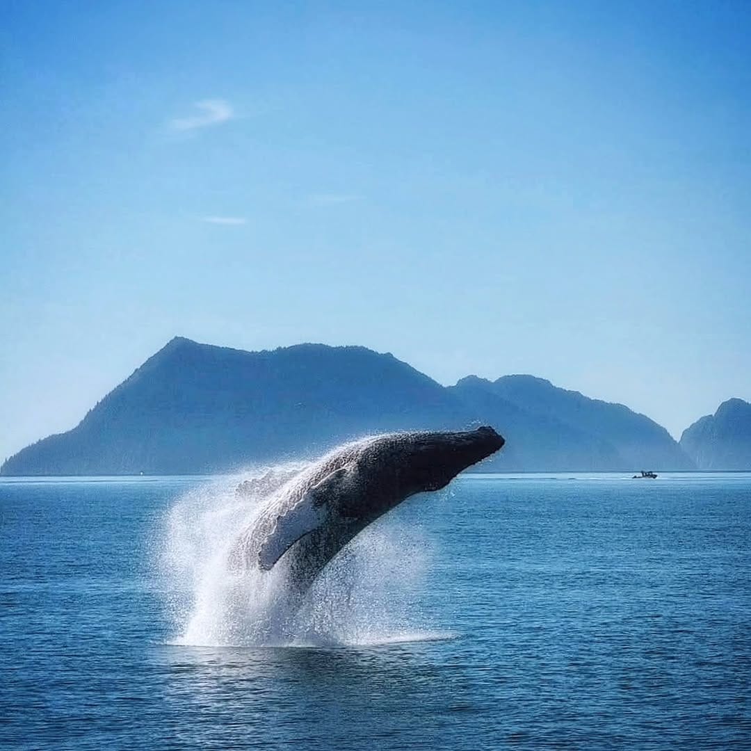 Post 7 by Massimo Menarini on Instagram (image)