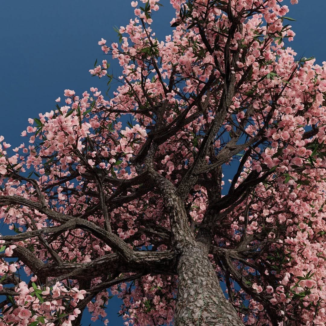 Post 3 by Jon Meredith on Instagram (image)