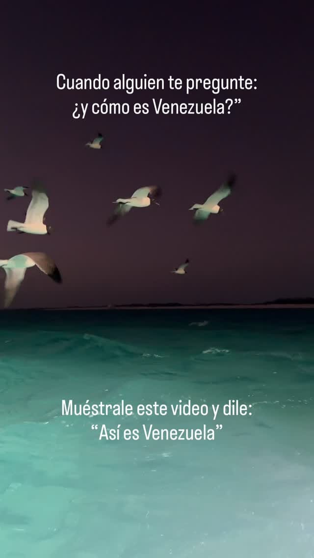 Post 5 by Maarten A. Vander Berg on Instagram (video)