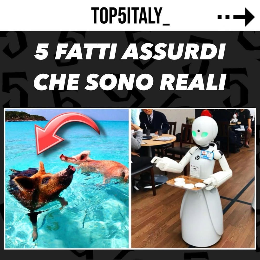 Post 1 by TOP 5 ITALY 🇮🇹🇮🇹 on Instagram (carousel)