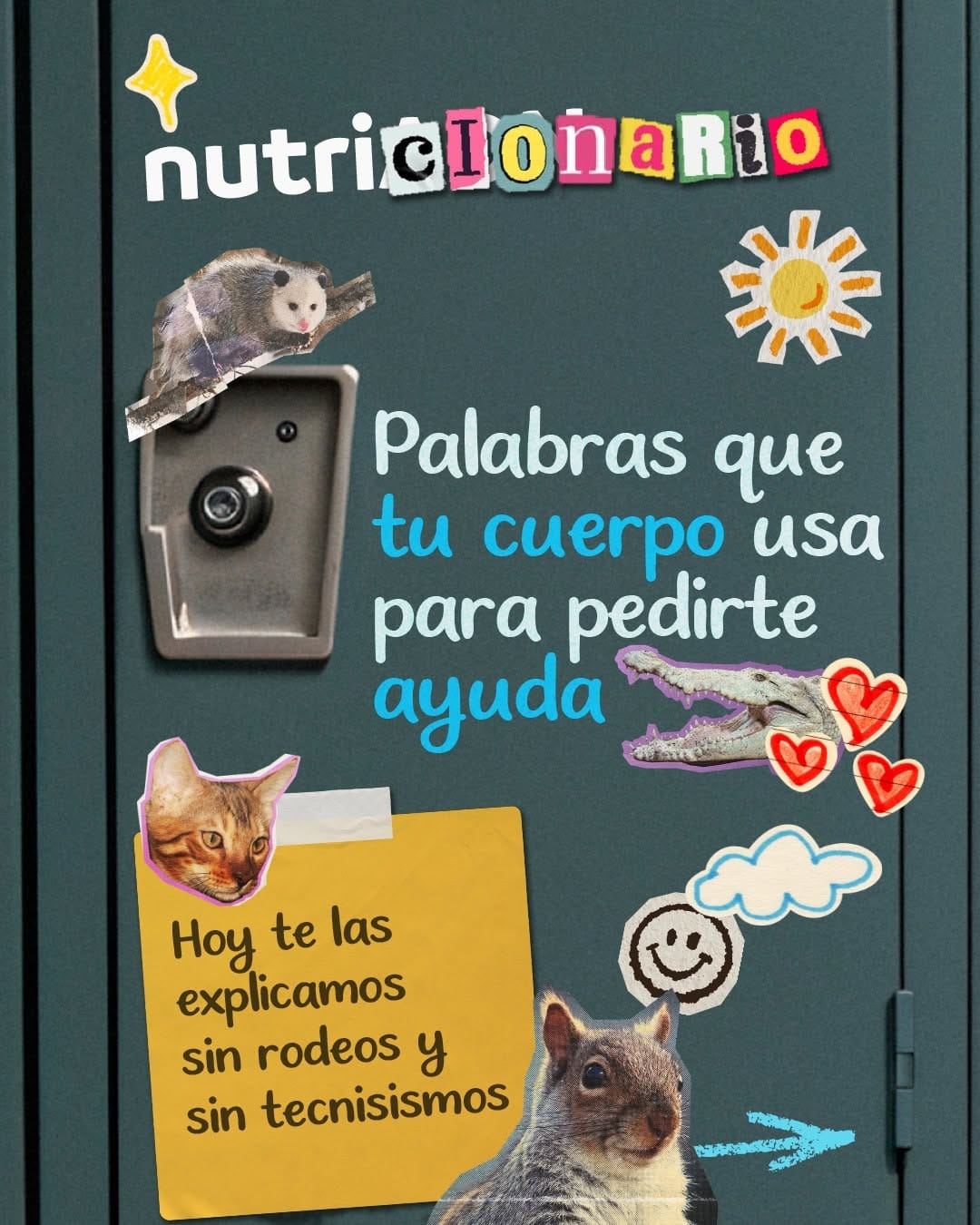 Post 7 by nutriADN | Nutrigenética y Nutrición Funcional on Instagram (carousel)