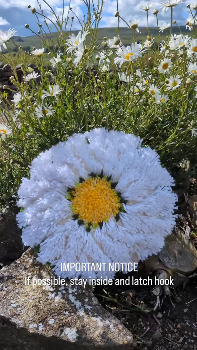Post 1 by Clare Utley on Instagram (video)