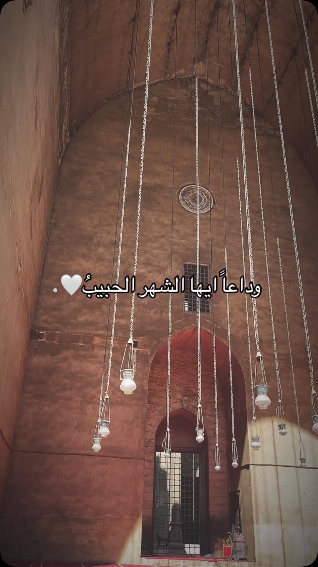 Post 7 by Darine Atwa on Instagram (video)