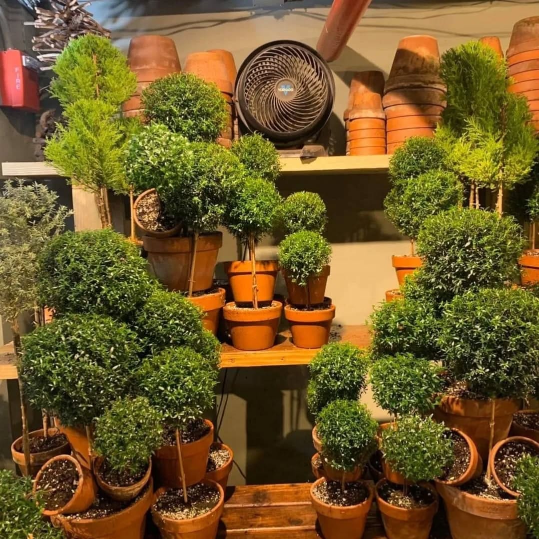 Post 1 by New York Topiary on Instagram (image)
