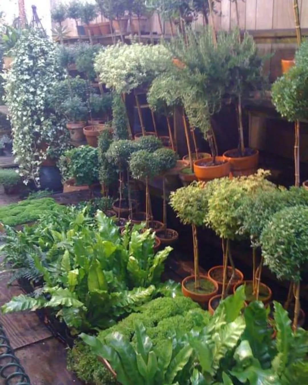 Post 2 by New York Topiary on Instagram (image)