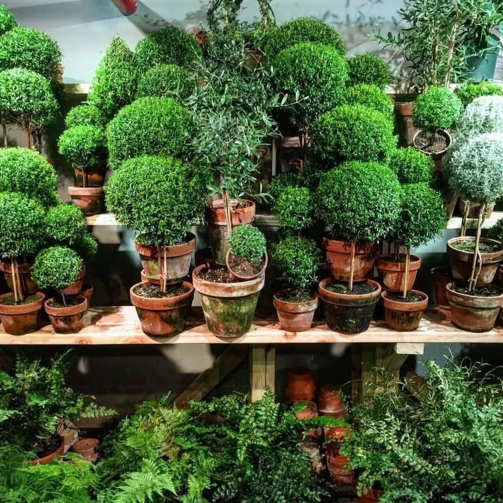 Post 3 by New York Topiary on Instagram (image)