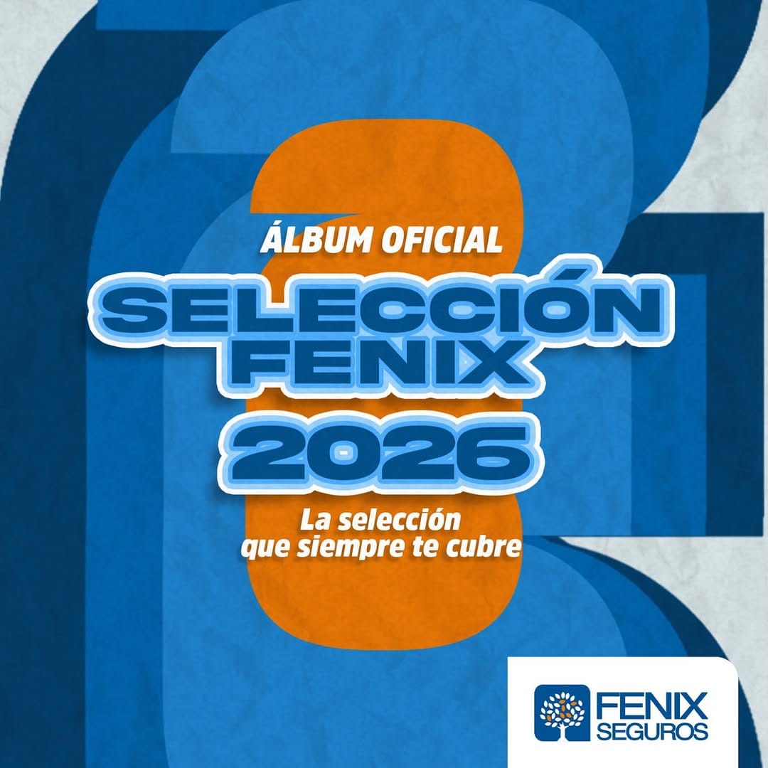 Post 8 by Fenix Seguros on Instagram (carousel)