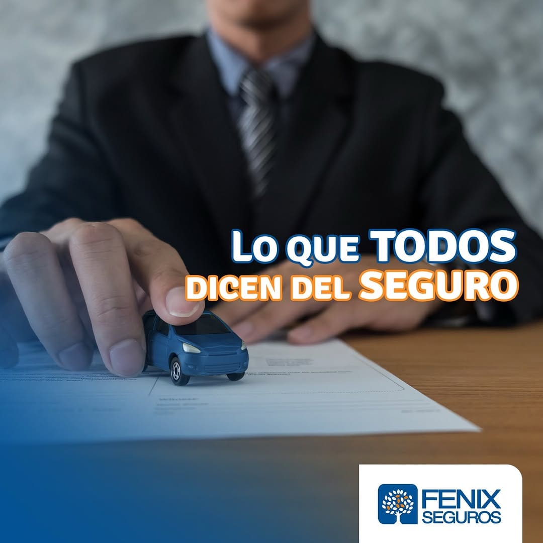 Post 3 by Fenix Seguros on Instagram (carousel)
