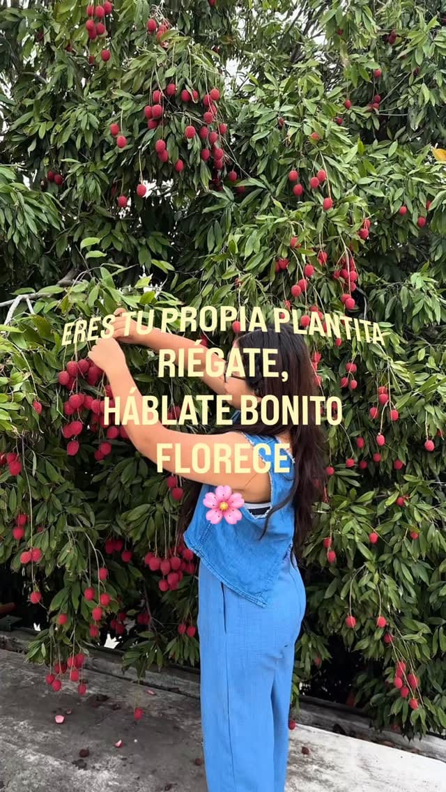 Post 7 by Dra.Brigitte Gutiérrez👩🏽‍⚕️🩺 𝙼𝚎𝚍𝚕𝚒𝚏𝚎𝚜𝚝𝚢𝚕𝚎 ✨ on Instagram (video)