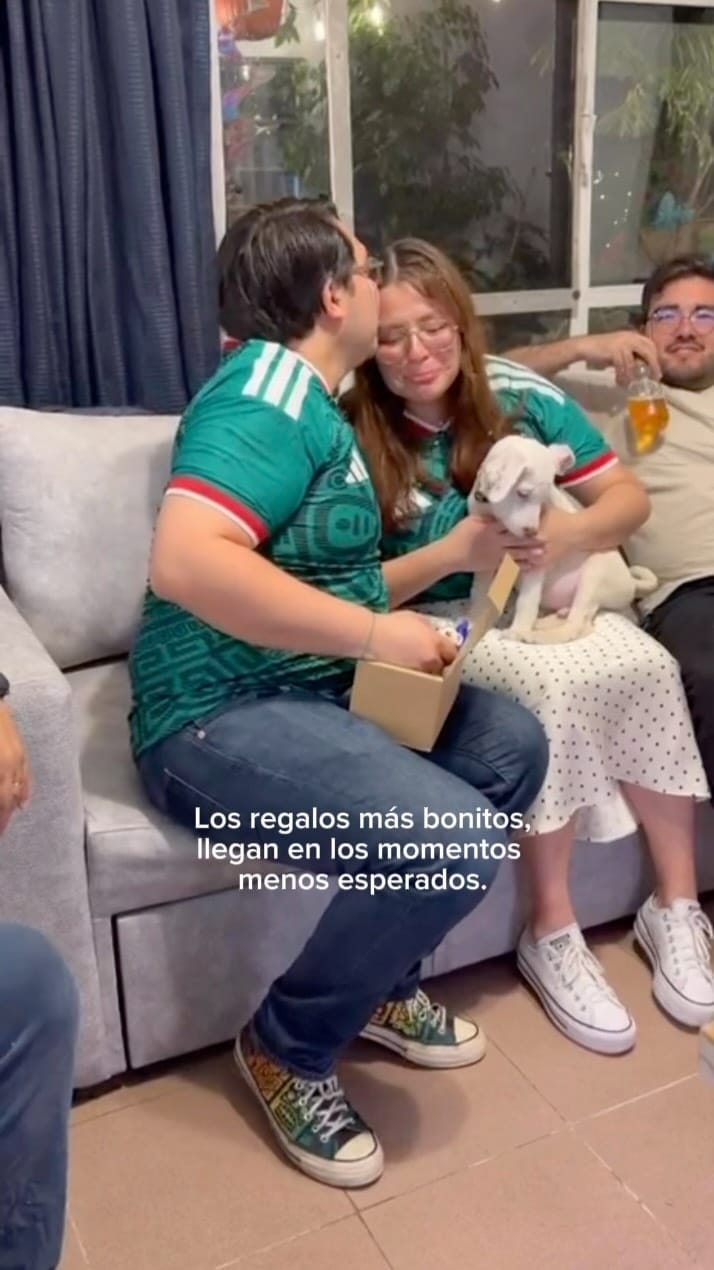 Post 2 by Karina Tapia | Retratos y esculturas de animales on Instagram (video)
