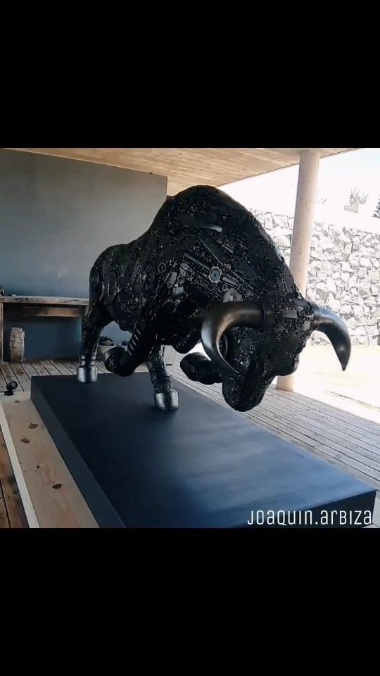 Post 9 by Joaquin Arbiza on Instagram (video)