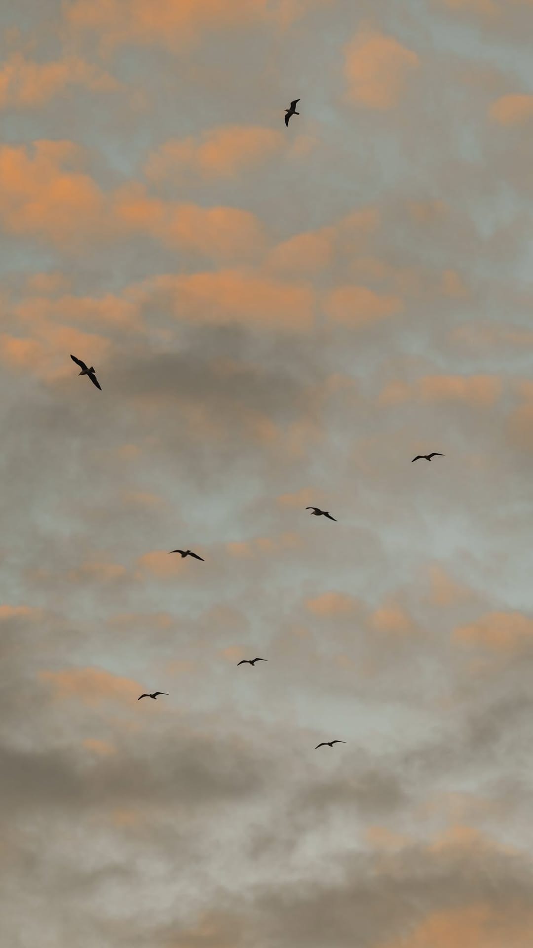 Post 6 by Cuno de Bruin - Harms on Instagram (video)