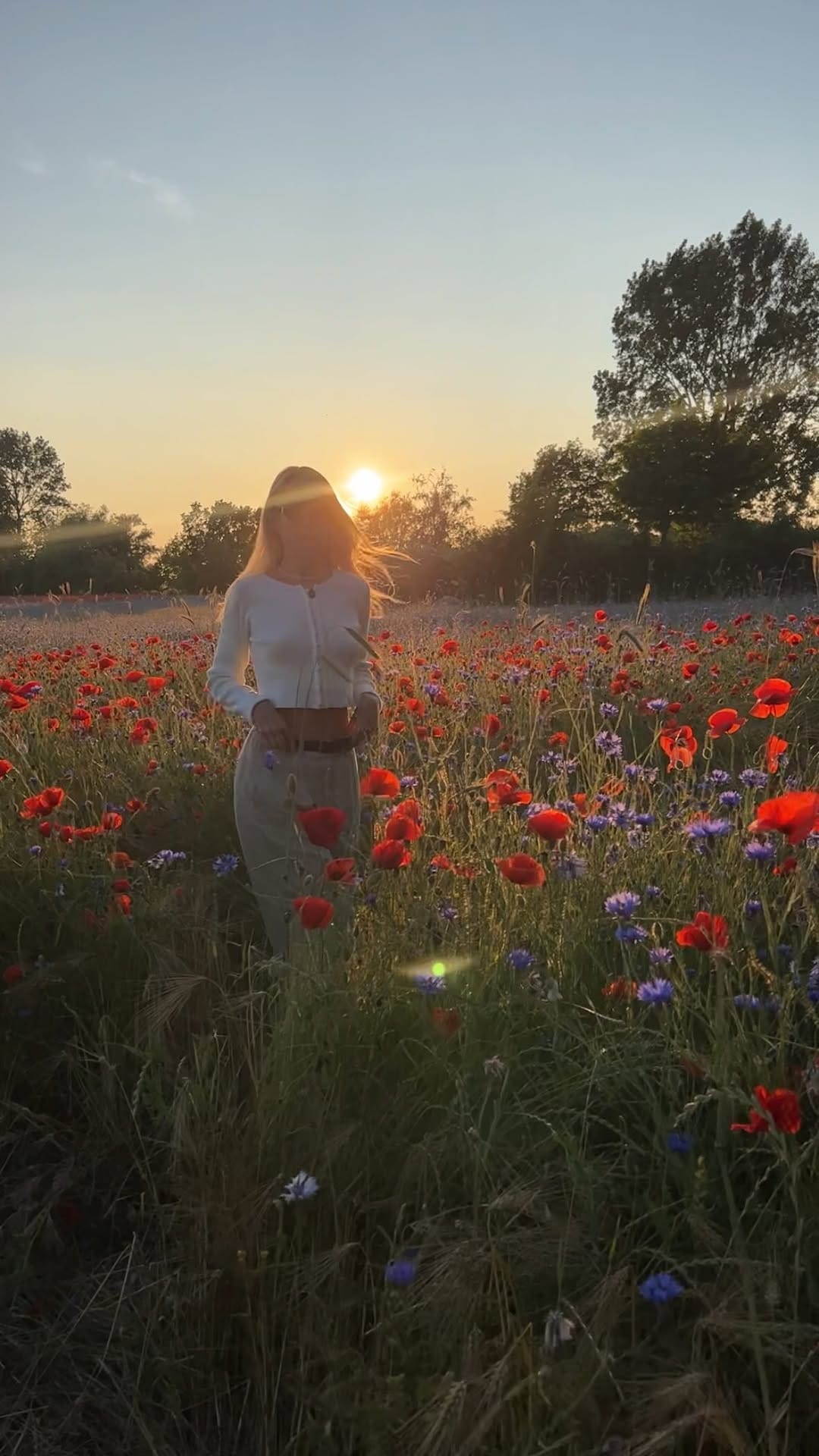 Post 4 by Juliane Diesner on Instagram (video)