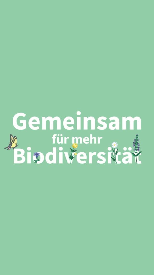 Post 4 by AXA Switzerland on Instagram (video)