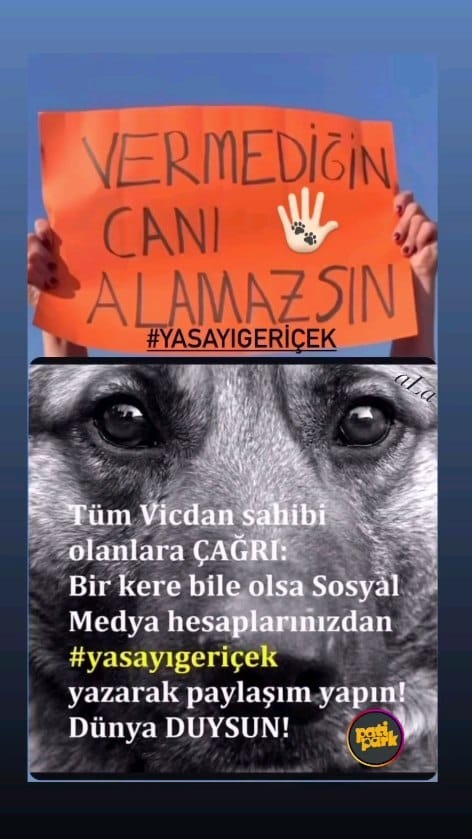 Post 7 by Elif Ucak on Instagram (video)
