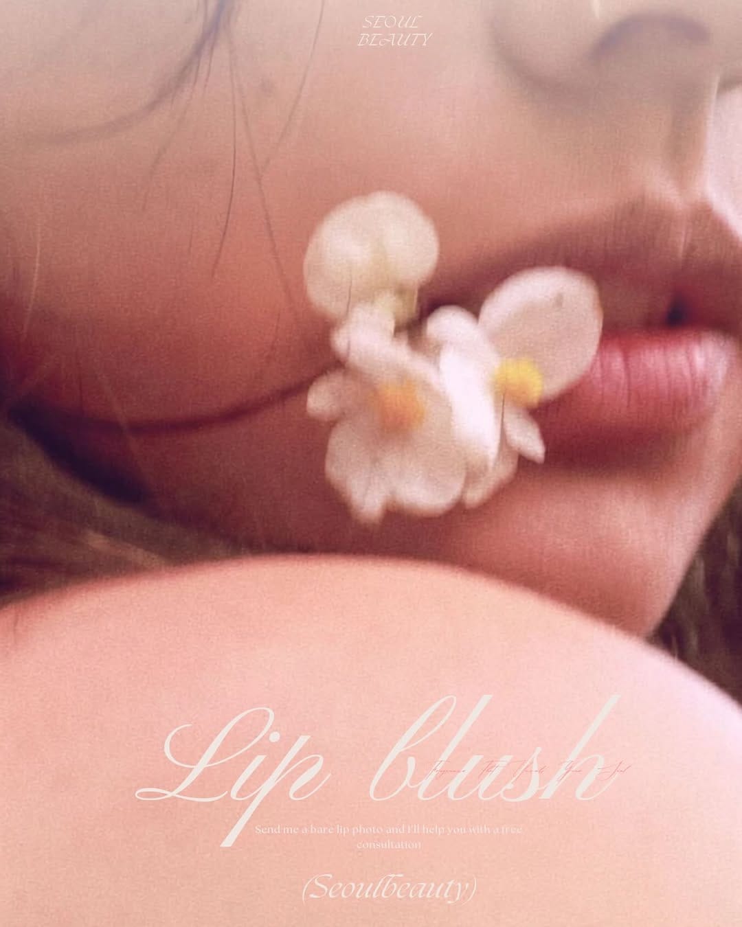 Post 6 by Melbourne Eyebrow | Lip | Lash Lift | Brown Eyeliner 듀얼펌 • 펌포인트 on Instagram (image)