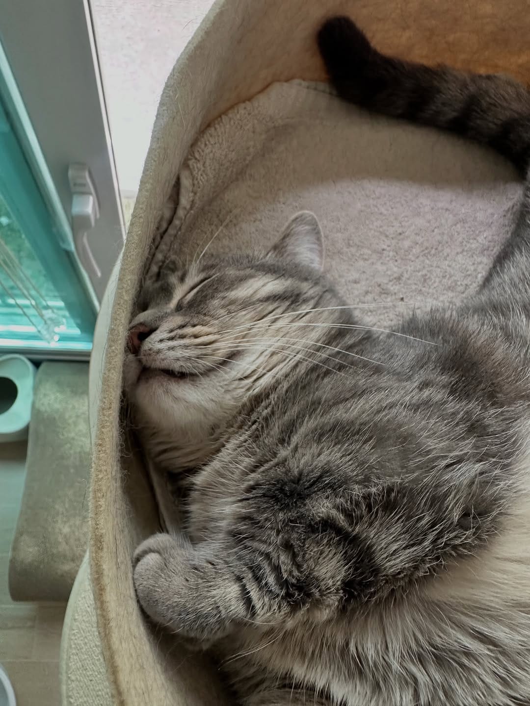 Post 1 by 레오 LEO🐾 on Instagram (carousel)