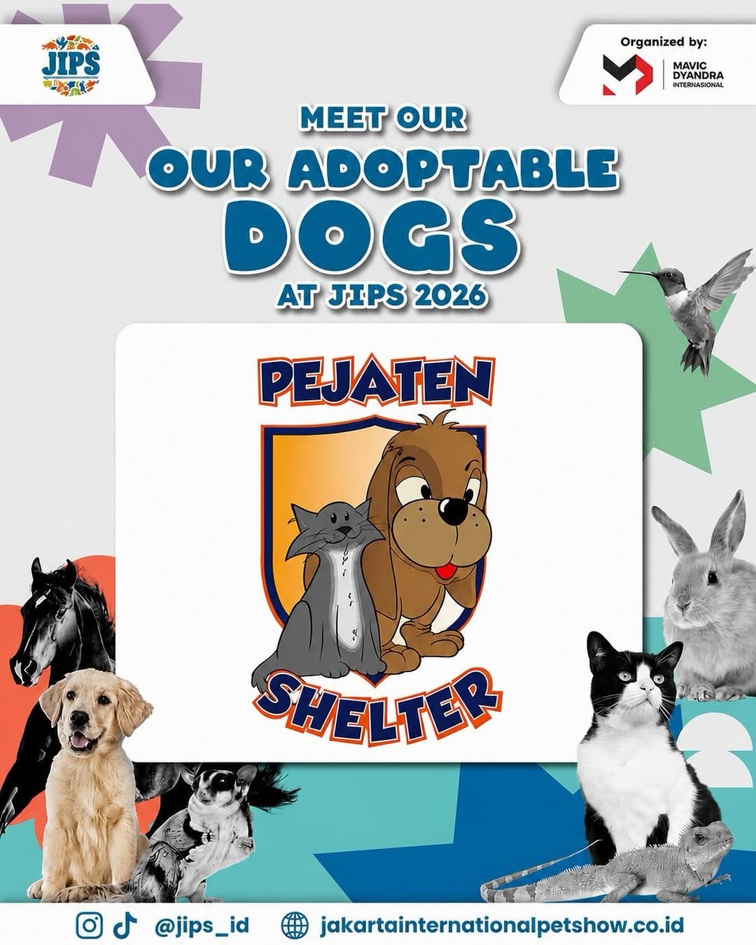 Post 9 by Pejaten Shelter on Instagram (carousel)