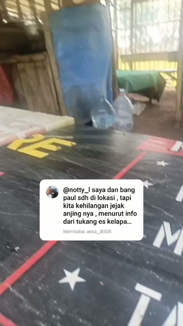 Post 7 by Pejaten Shelter on Instagram (video)
