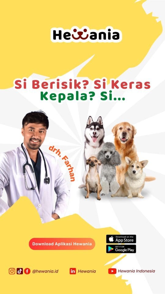 Post 4 by Farhan Abdul Hasan on Instagram (video)